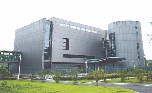 上海分院捷報頻傳 多項成果榮膺年度中國十大科技進展新聞，展現上海技術開發新高度